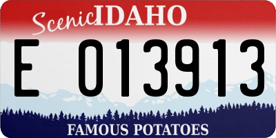ID license plate E013913