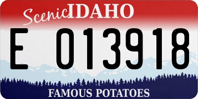 ID license plate E013918