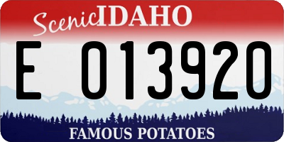 ID license plate E013920