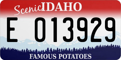 ID license plate E013929