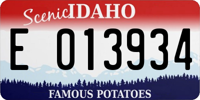 ID license plate E013934