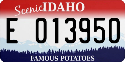 ID license plate E013950