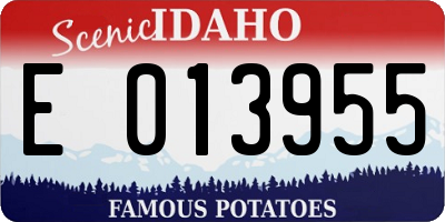 ID license plate E013955