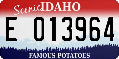 ID license plate E013964