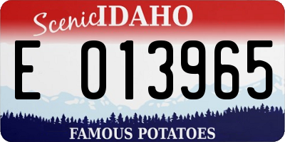 ID license plate E013965