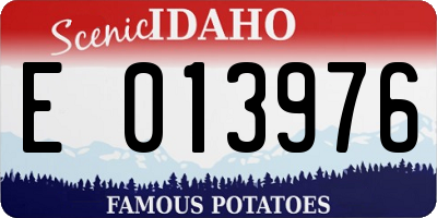 ID license plate E013976