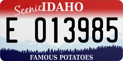 ID license plate E013985