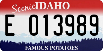 ID license plate E013989