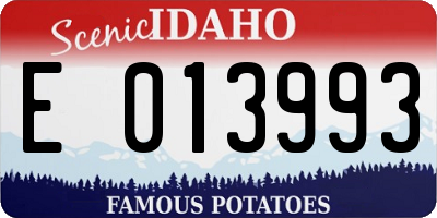 ID license plate E013993
