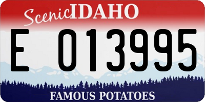 ID license plate E013995