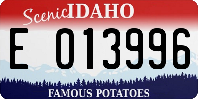ID license plate E013996