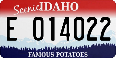 ID license plate E014022