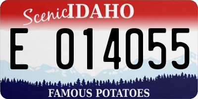 ID license plate E014055