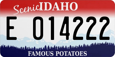 ID license plate E014222