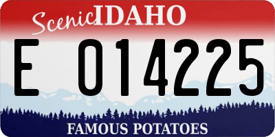ID license plate E014225