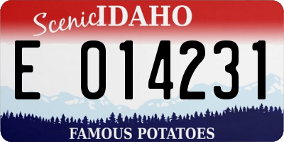ID license plate E014231