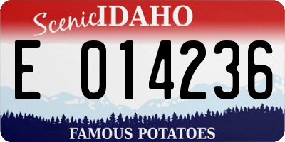 ID license plate E014236