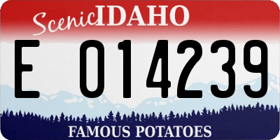 ID license plate E014239