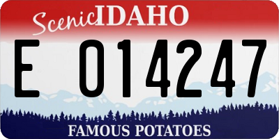ID license plate E014247