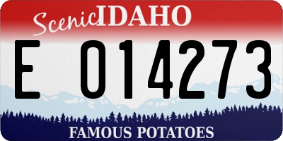 ID license plate E014273