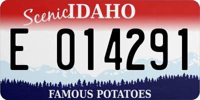 ID license plate E014291