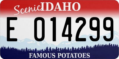 ID license plate E014299