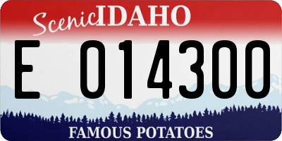 ID license plate E014300
