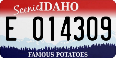 ID license plate E014309