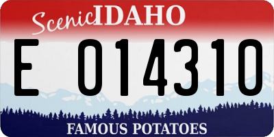 ID license plate E014310