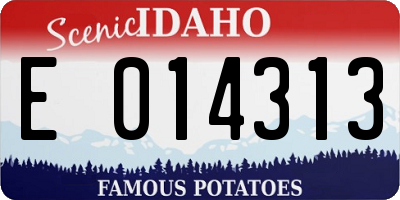 ID license plate E014313