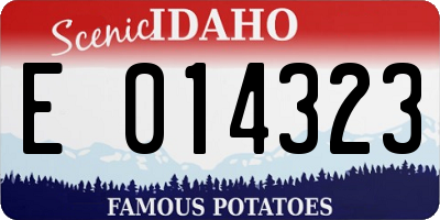 ID license plate E014323