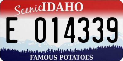 ID license plate E014339