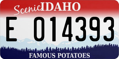 ID license plate E014393