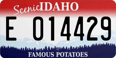 ID license plate E014429