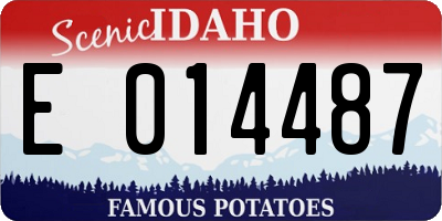 ID license plate E014487