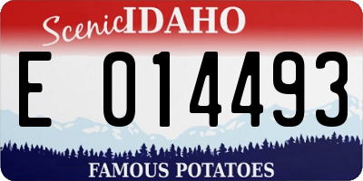 ID license plate E014493