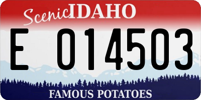 ID license plate E014503