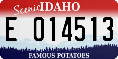ID license plate E014513