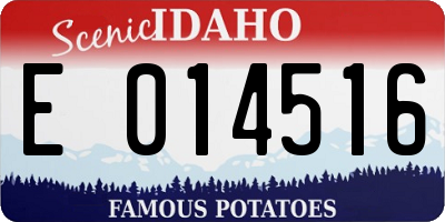 ID license plate E014516