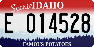 ID license plate E014528