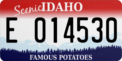 ID license plate E014530