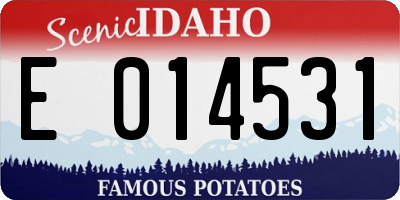 ID license plate E014531