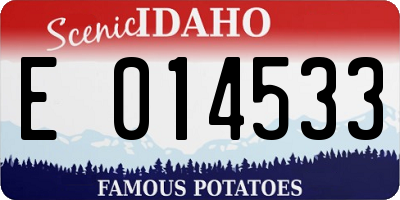 ID license plate E014533