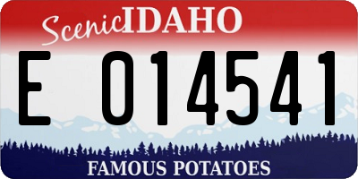 ID license plate E014541