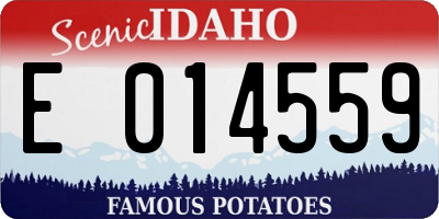 ID license plate E014559