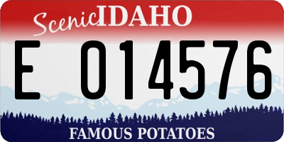 ID license plate E014576