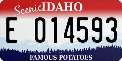 ID license plate E014593