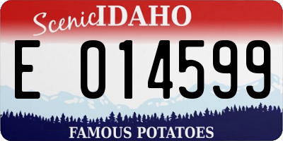 ID license plate E014599