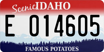 ID license plate E014605