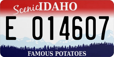 ID license plate E014607